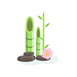 Similar image 11953152