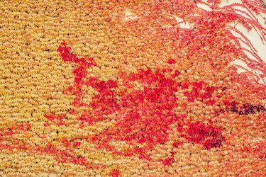 Similar image 11949293