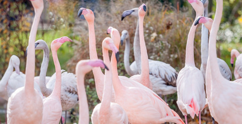 Similar image 11949317