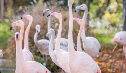 Similar image 11949318