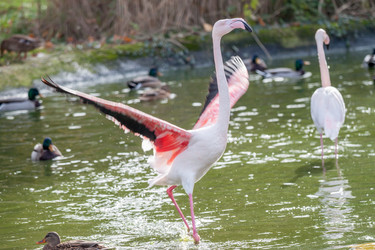 Similar image 11949319