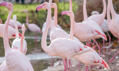 Similar image 11949320