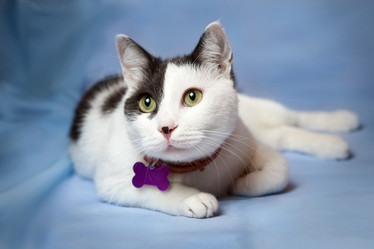 Similar image 11947867