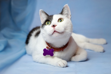 Similar image 11947868