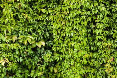 Similar image 11948120