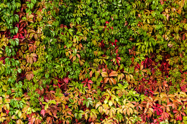 Similar image 11948121