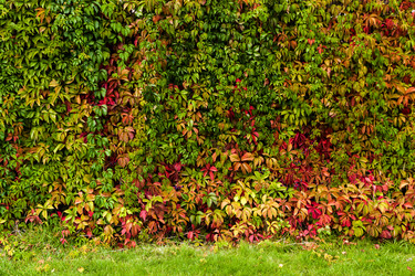 Similar image 11948122