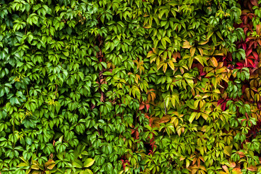 Similar image 11948123