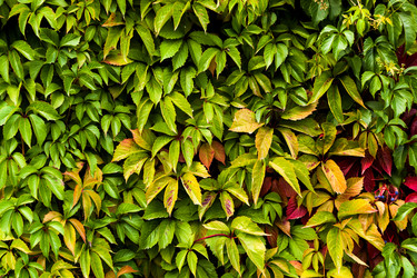 Similar image 11948124