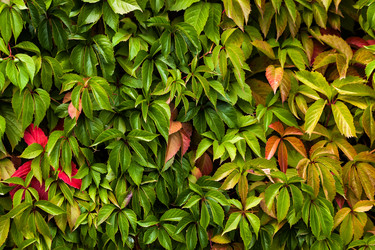 Similar image 11948125