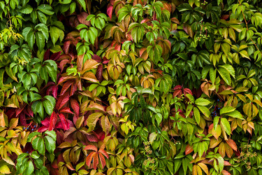 Similar image 11948126