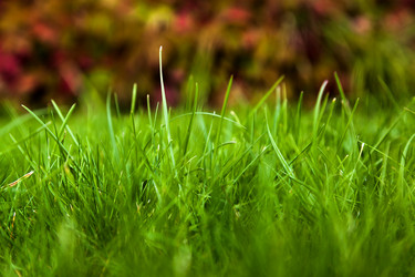 Similar image 11948128