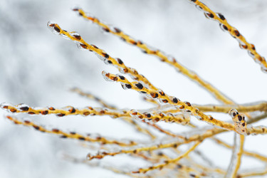 Similar image 11947988