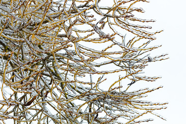 Similar image 11947989