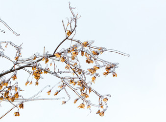 Similar image 11947990