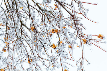 Similar image 11947991