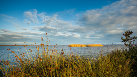 Similar image 11948369