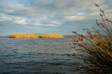 Similar image 11948370