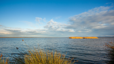 Similar image 11948373