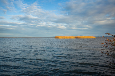 Similar image 11948374