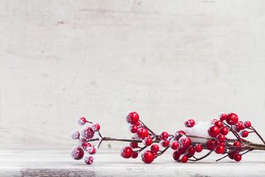 Similar image 11957161