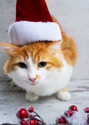 Similar image 11957255