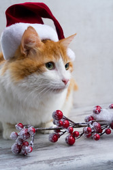 Similar image 11957256