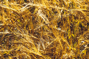 Similar image 11950569