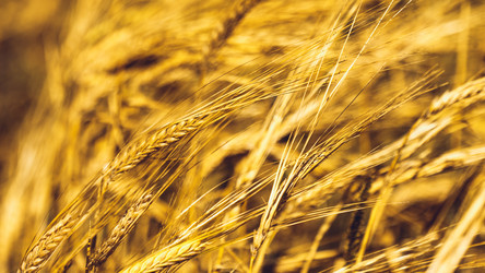 Similar image 11950594