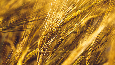 Similar image 11950596