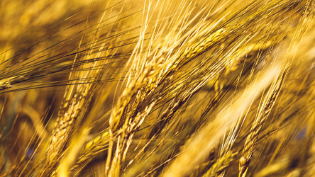 Similar image 11950601