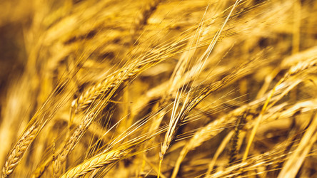 Similar image 11950602