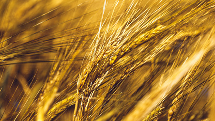 Similar image 11950604