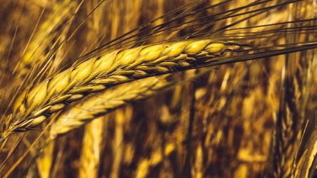 Similar image 11950605