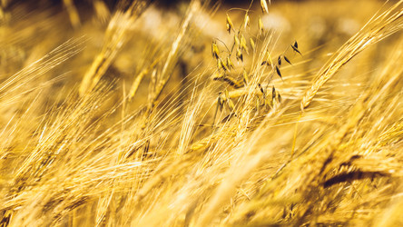 Similar image 11950606