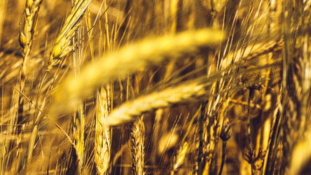 Similar image 11950607