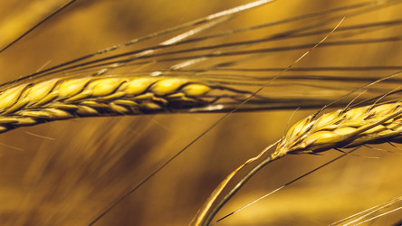 Similar image 11950609