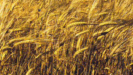 Similar image 11950629