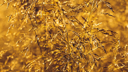 Similar image 11950632