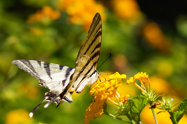 Similar image 11948992