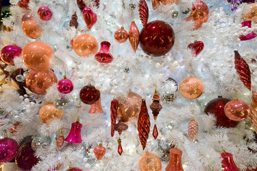 Similar image 11957187