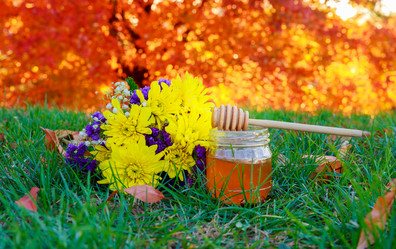 Similar image 11952715