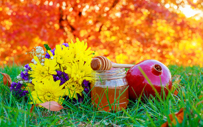 Similar image 11952716