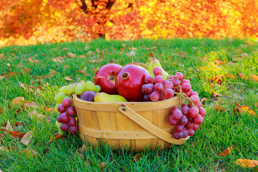 Similar image 11952718