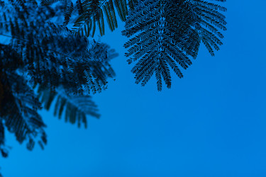 Similar image 11950208