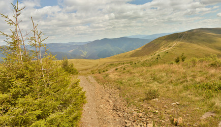 Similar image 11949549