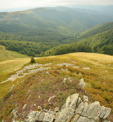 Similar image 11949552