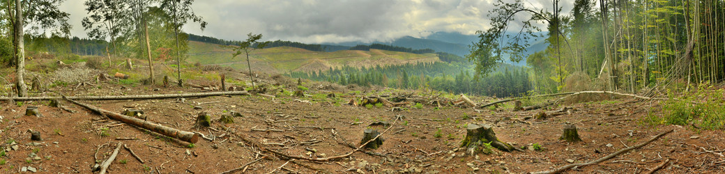 Similar image 11949574