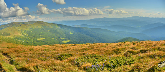 Similar image 11949669