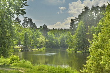 Similar image 11949683